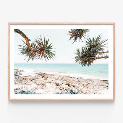 A photographic framed art print of a beach scene with rocks and palm trees in the foreground, taken in Noosa Australia