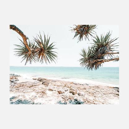 Noosa Rocks