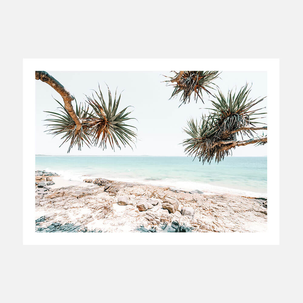 A photo print of a beach scene with rocks and palm trees in the foreground, taken in Noosa Australia