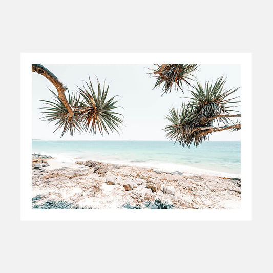 A photo print of a beach scene with rocks and palm trees in the foreground, taken in Noosa Australia