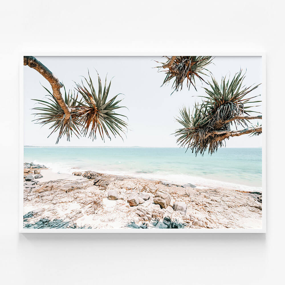 Noosa Rocks