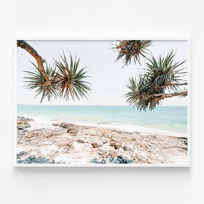 Noosa Rocks