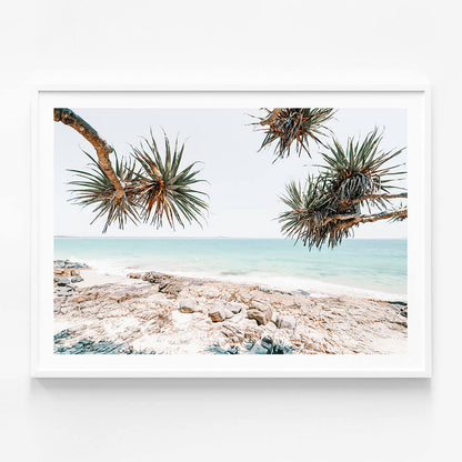 Noosa Rocks