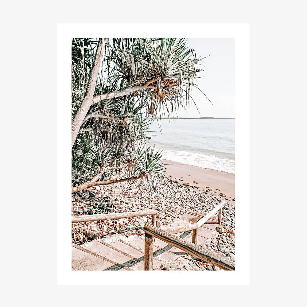 A photo of a beach at Noosa with steps leading down to the sand, featuring a large tree on the left and the ocean in the background.