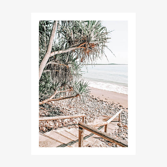 A photo of a beach at Noosa with steps leading down to the sand, featuring a large tree on the left and the ocean in the background.
