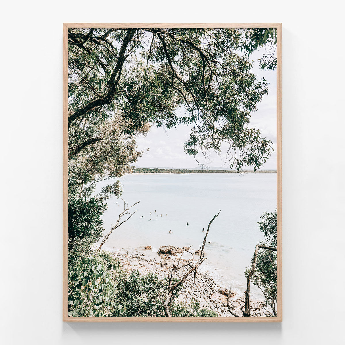 Noosa Surfers