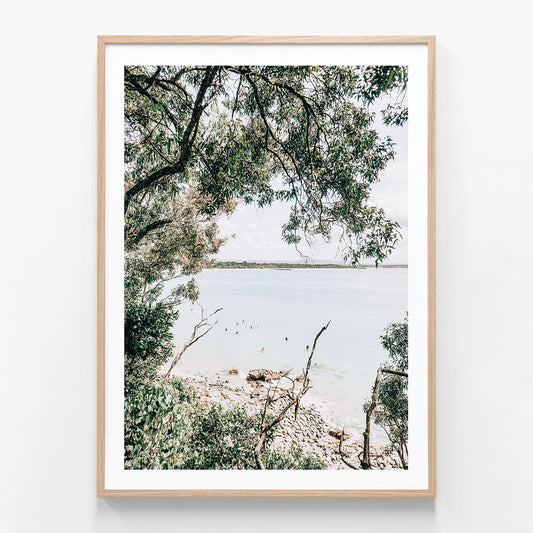 Noosa Surfers