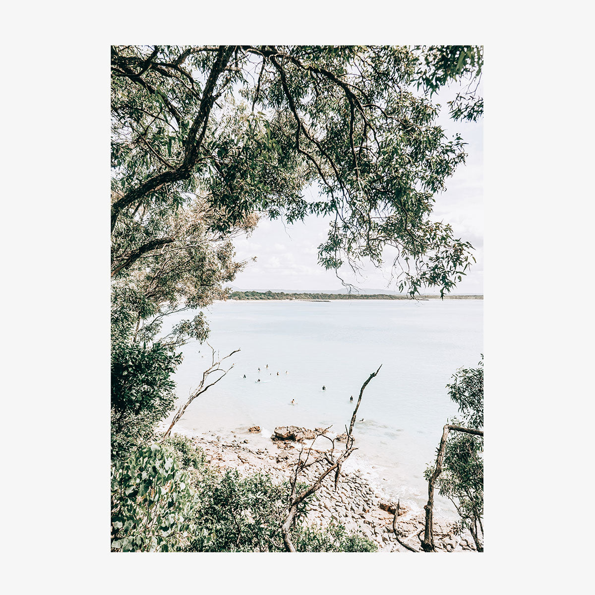 Noosa Surfers