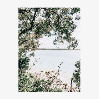 Noosa Surfers