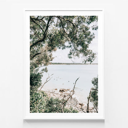 Noosa Surfers