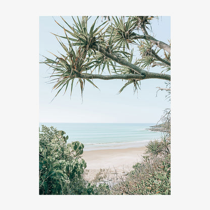 Noosa View