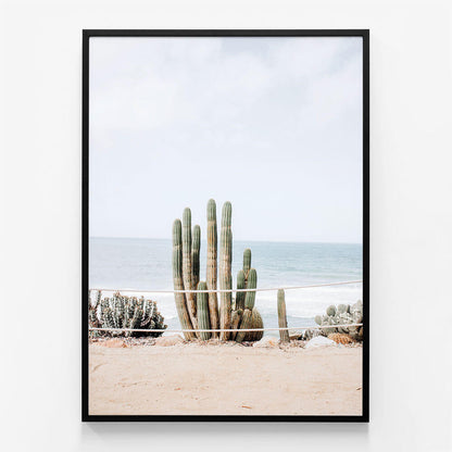 Ocean Cacti