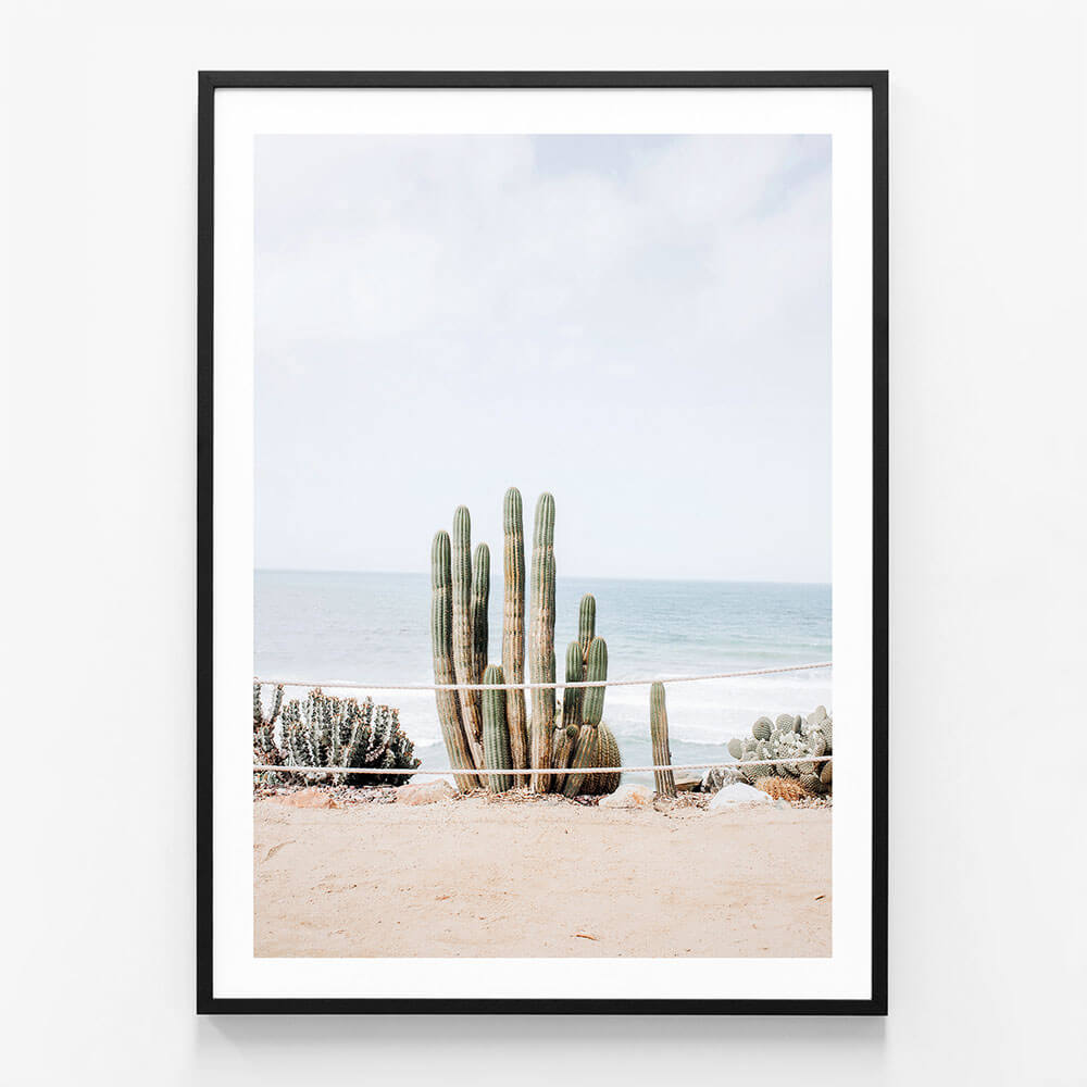 Ocean Cacti