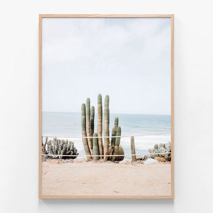 Ocean Cacti