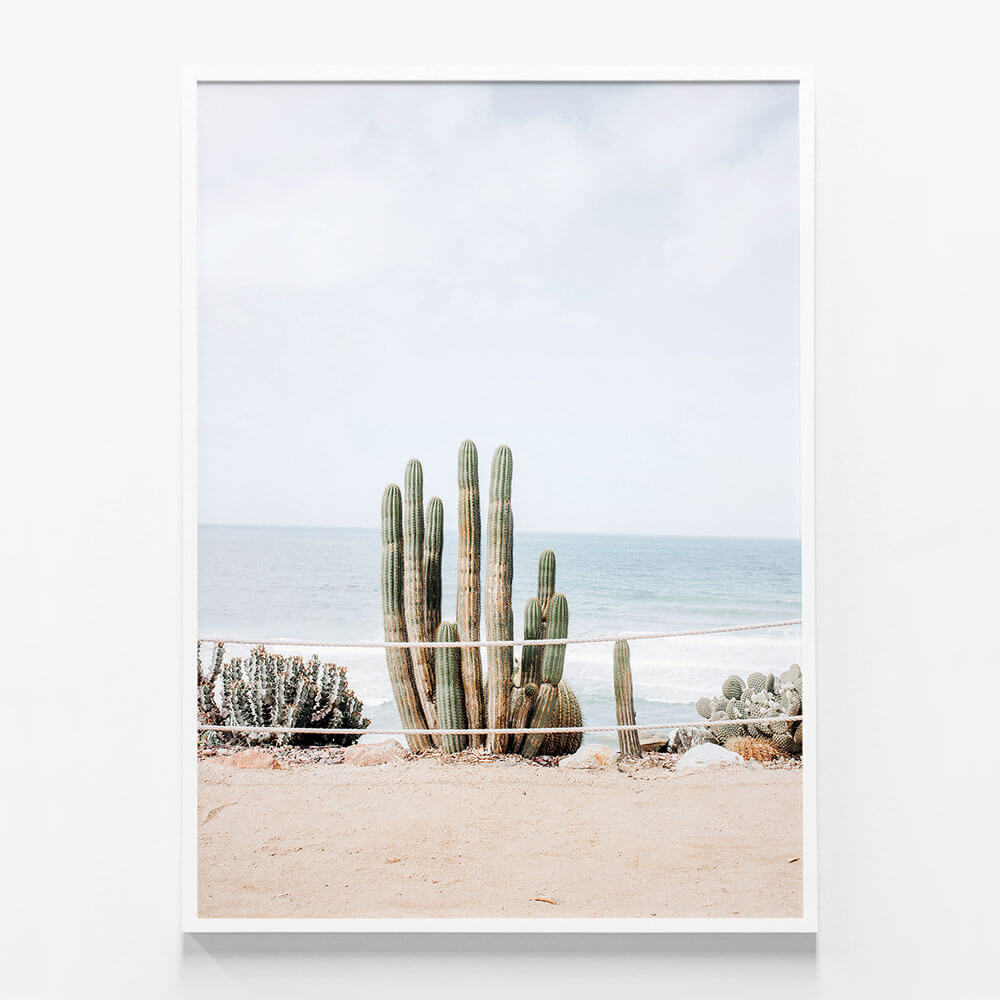 Ocean Cacti