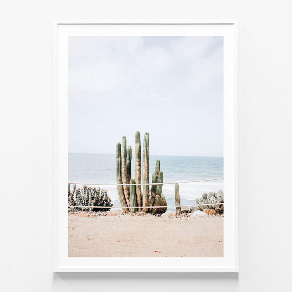 Ocean Cacti