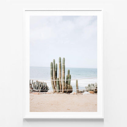 Ocean Cacti
