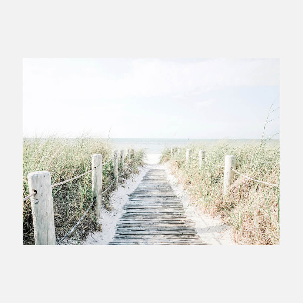 Ocean Walk