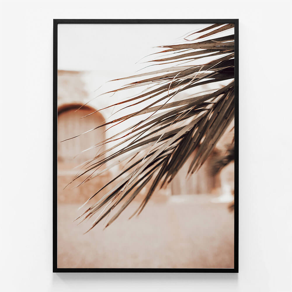 Old Town Palm