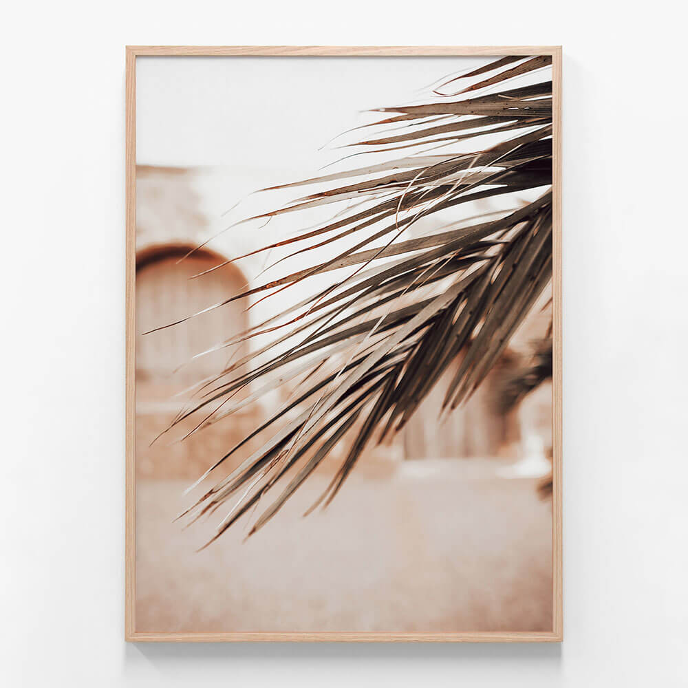 Old Town Palm