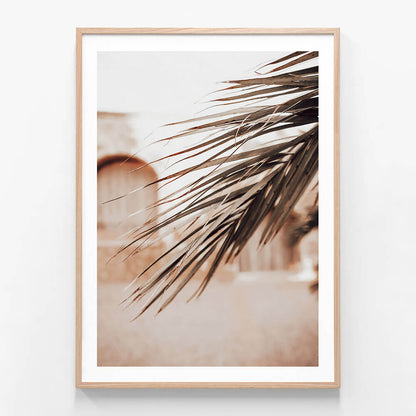Old Town Palm