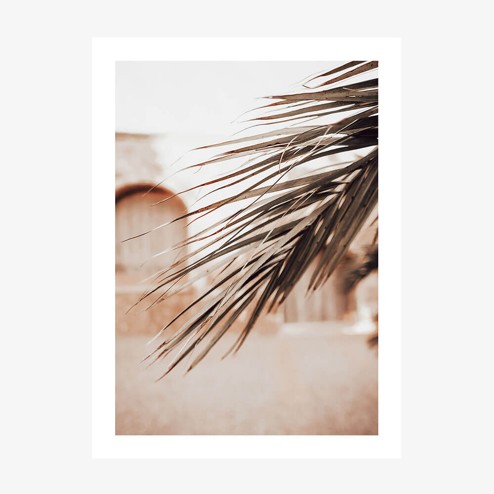 Old Town Palm