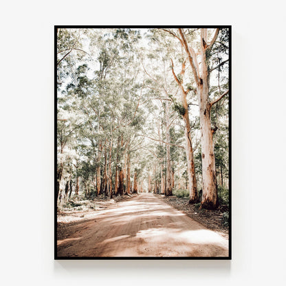 Old Vasse Road Canvas