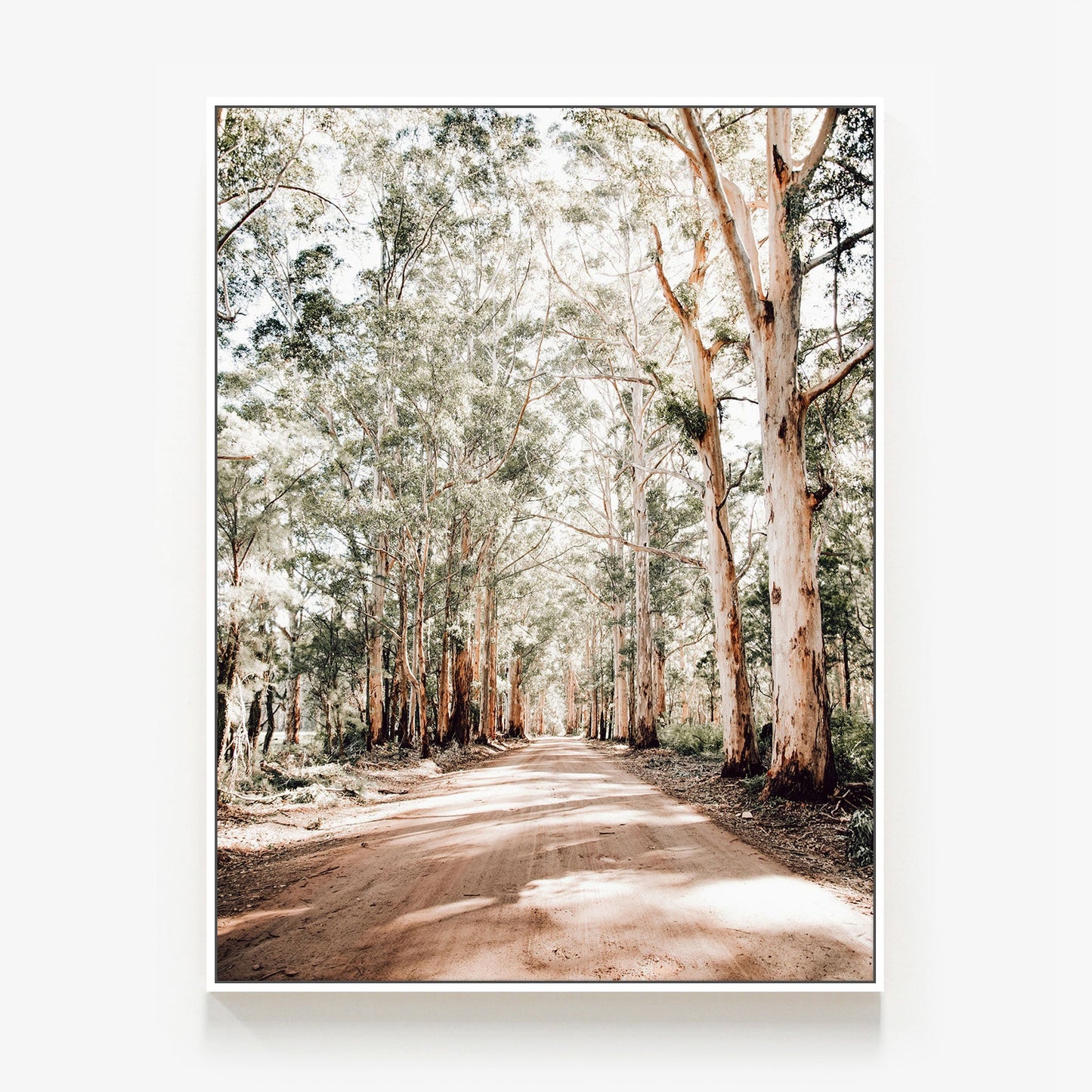 Old Vasse Road Canvas