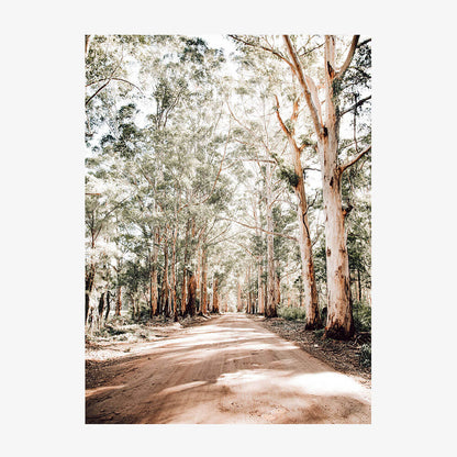 Old Vasse Road