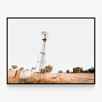 Old Windmill Canvas
