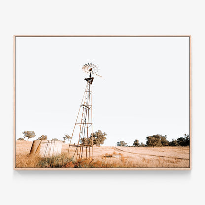 An Old Windmill in the Australian framing outback Canvas wall art print with oak float frame
