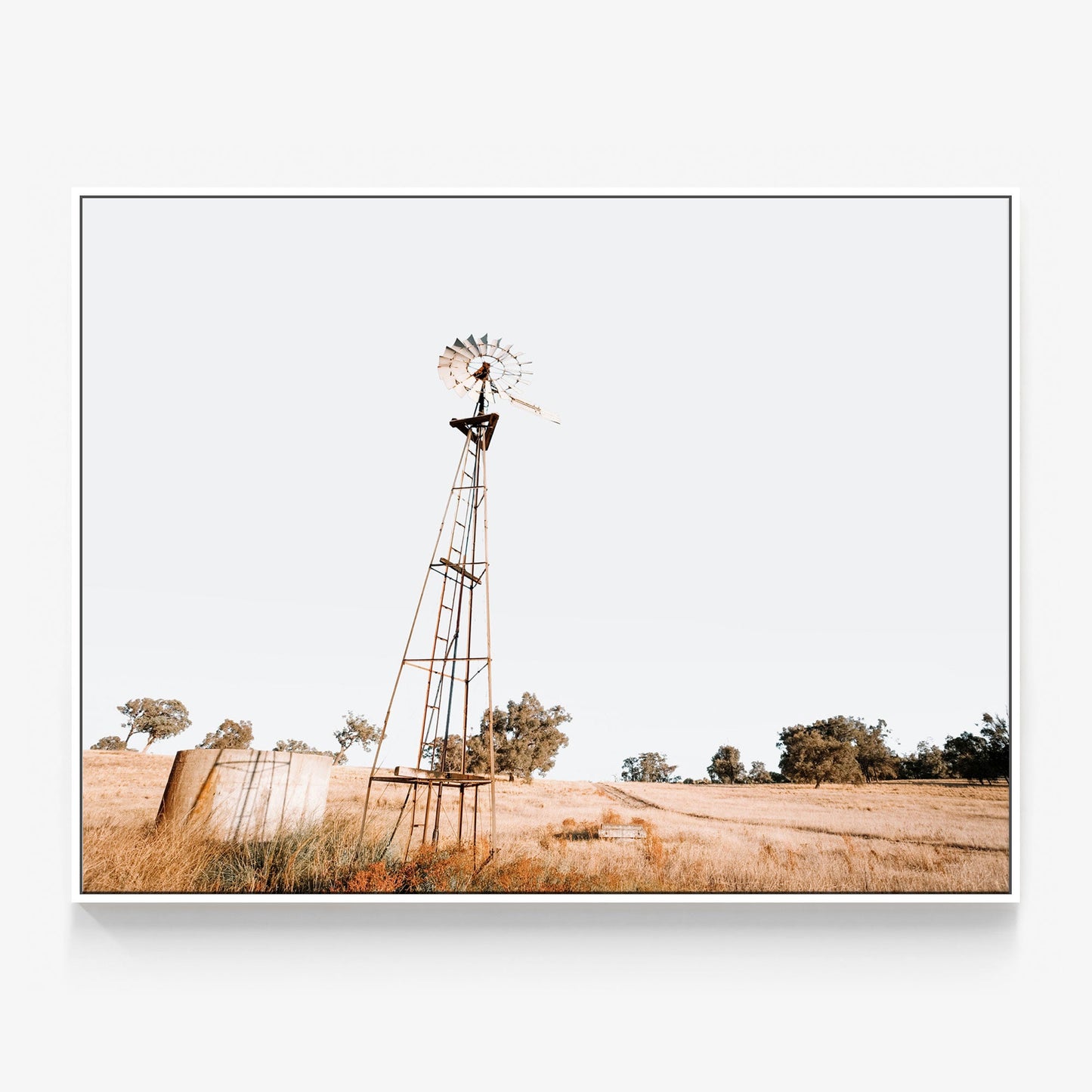 Old Windmill Canvas
