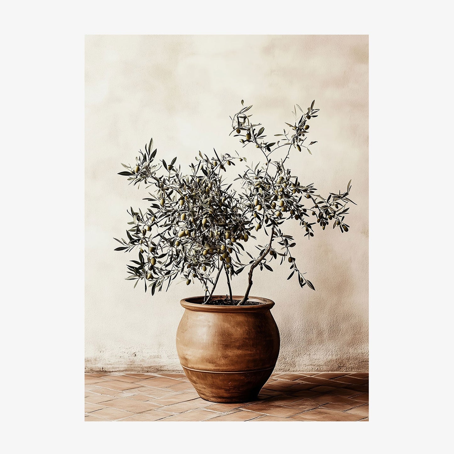 Olive Pot