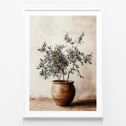 Olive Pot