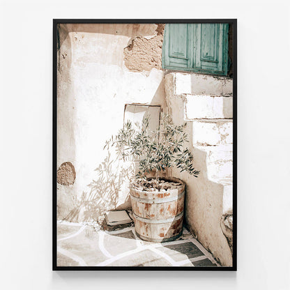 Olive Tree