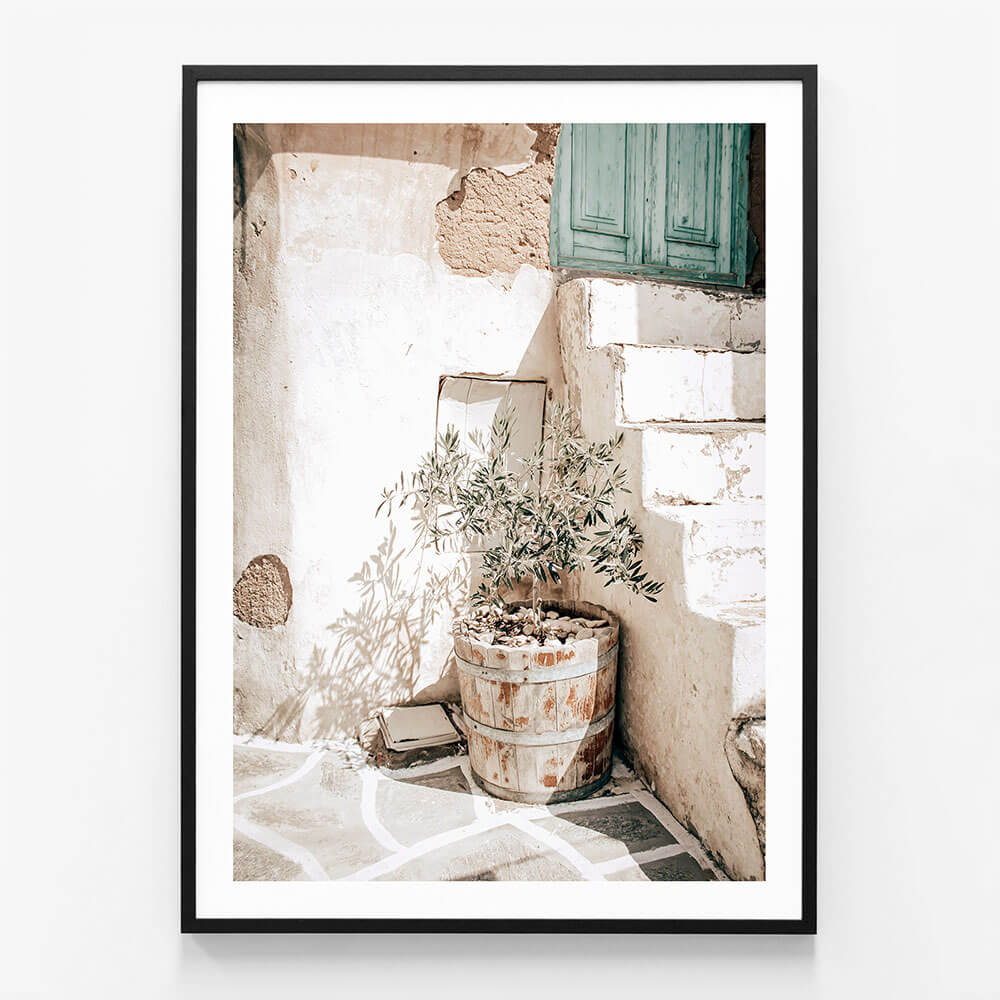 Olive Tree