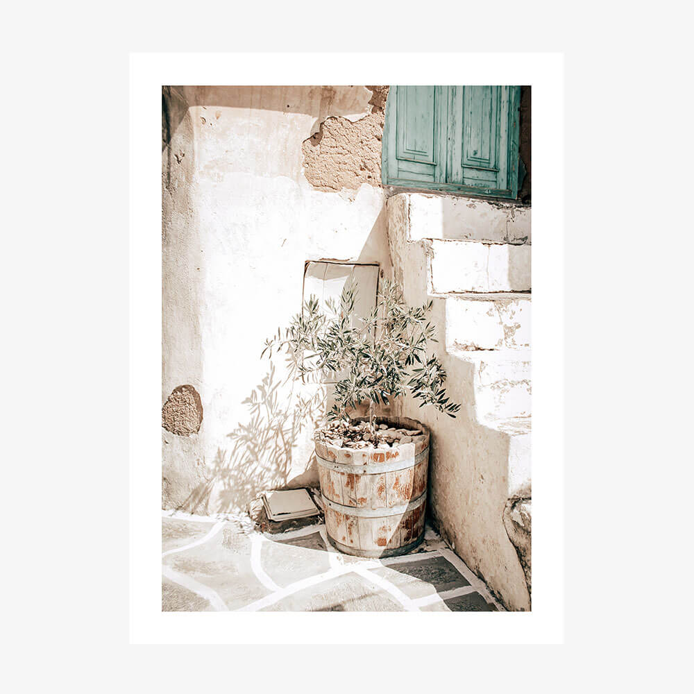 A photo print of a pot with an olive tree in it, placed on a stone surface with a wall and a door in the background.