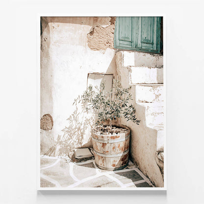 Olive Tree