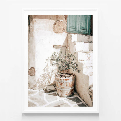 Olive Tree