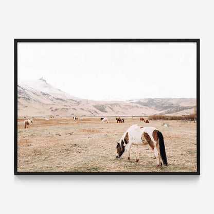 Open Pasture
