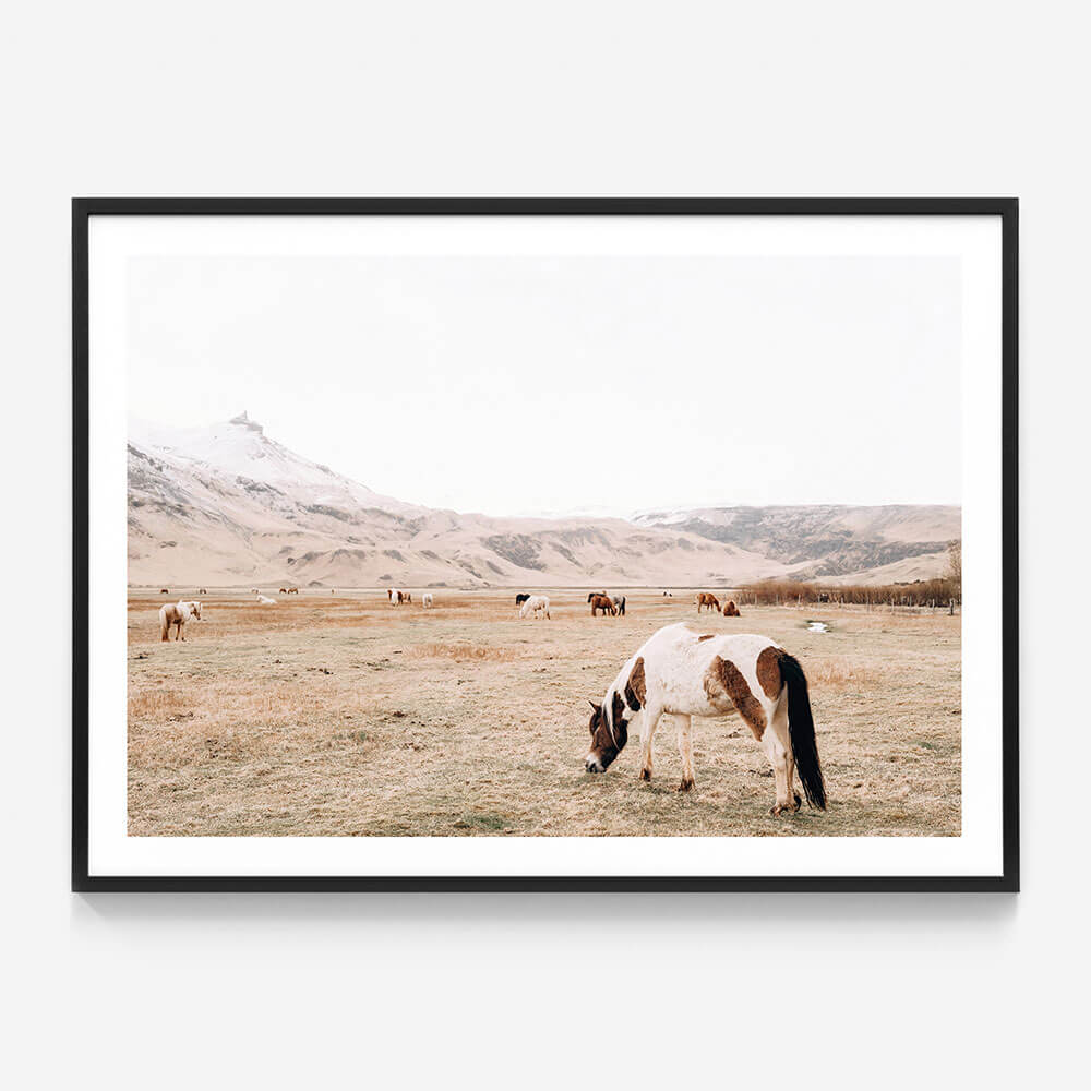 Open Pasture