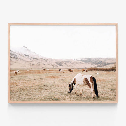 Open Pasture