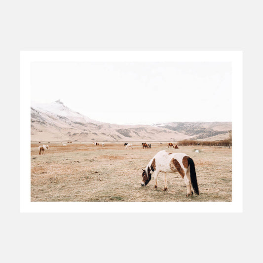 Open Pasture