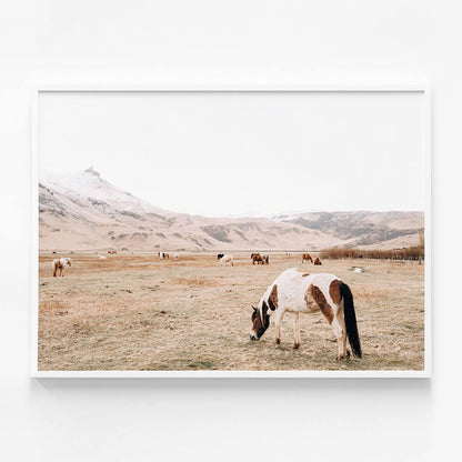 Open Pasture
