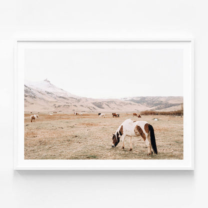 Open Pasture