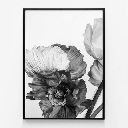 Oriental Poppies No. 3