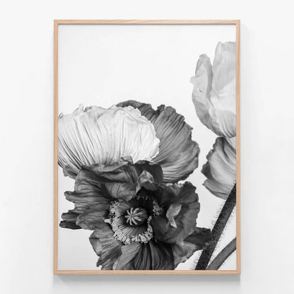 Oriental Poppies No. 3