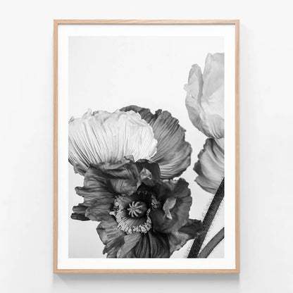 Oriental Poppies 3 wall art print in oak frame