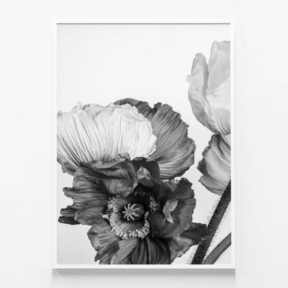 Oriental Poppies No. 3