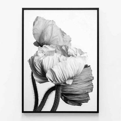 Oriental Poppies